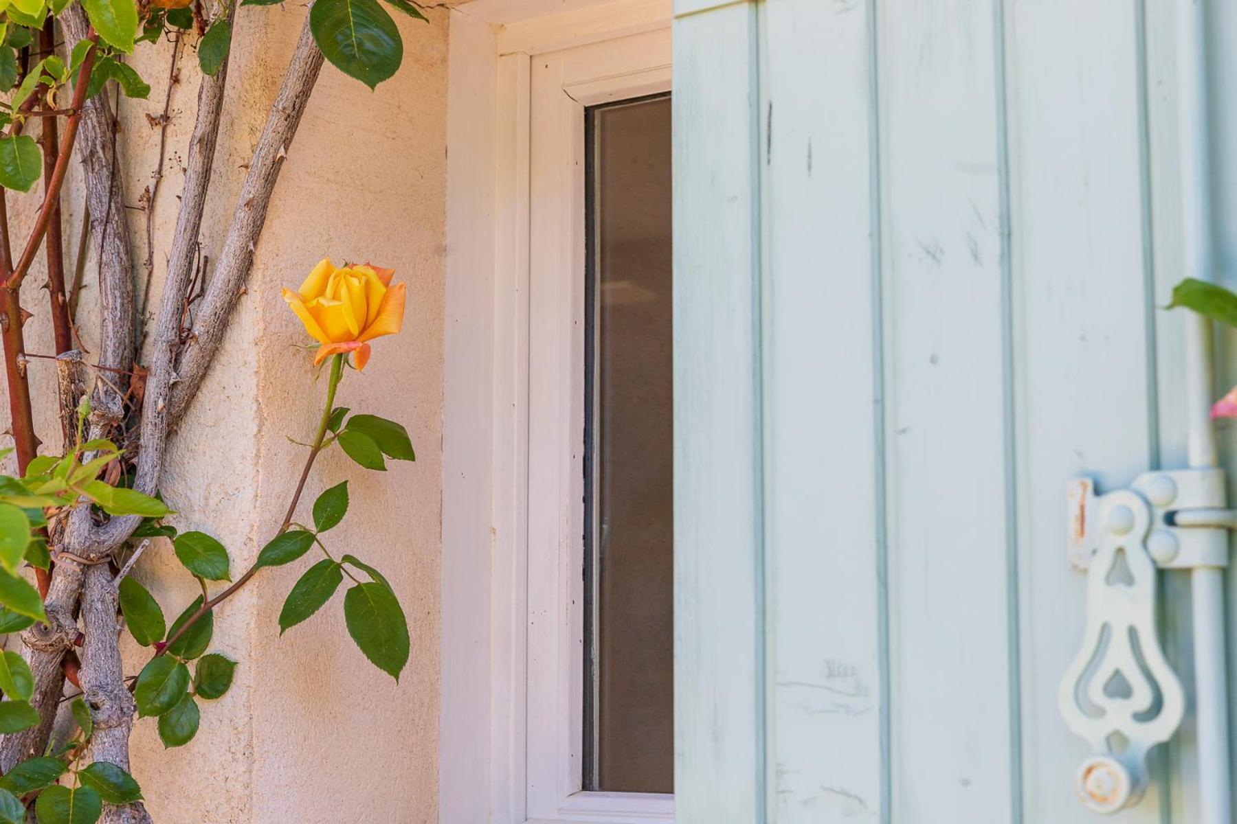 מוסטיה-סן-מארי La Ferme Du Petit Segries Bed And Breakfast מראה חיצוני תמונה