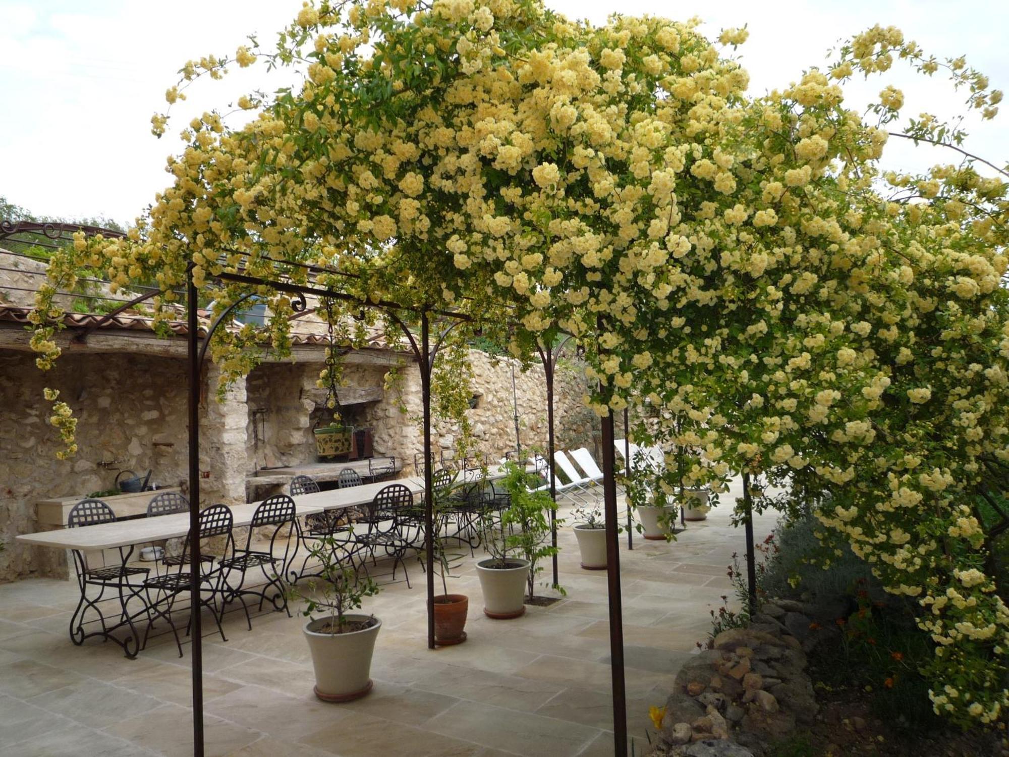 מוסטיה-סן-מארי La Ferme Du Petit Segries Bed And Breakfast מראה חיצוני תמונה