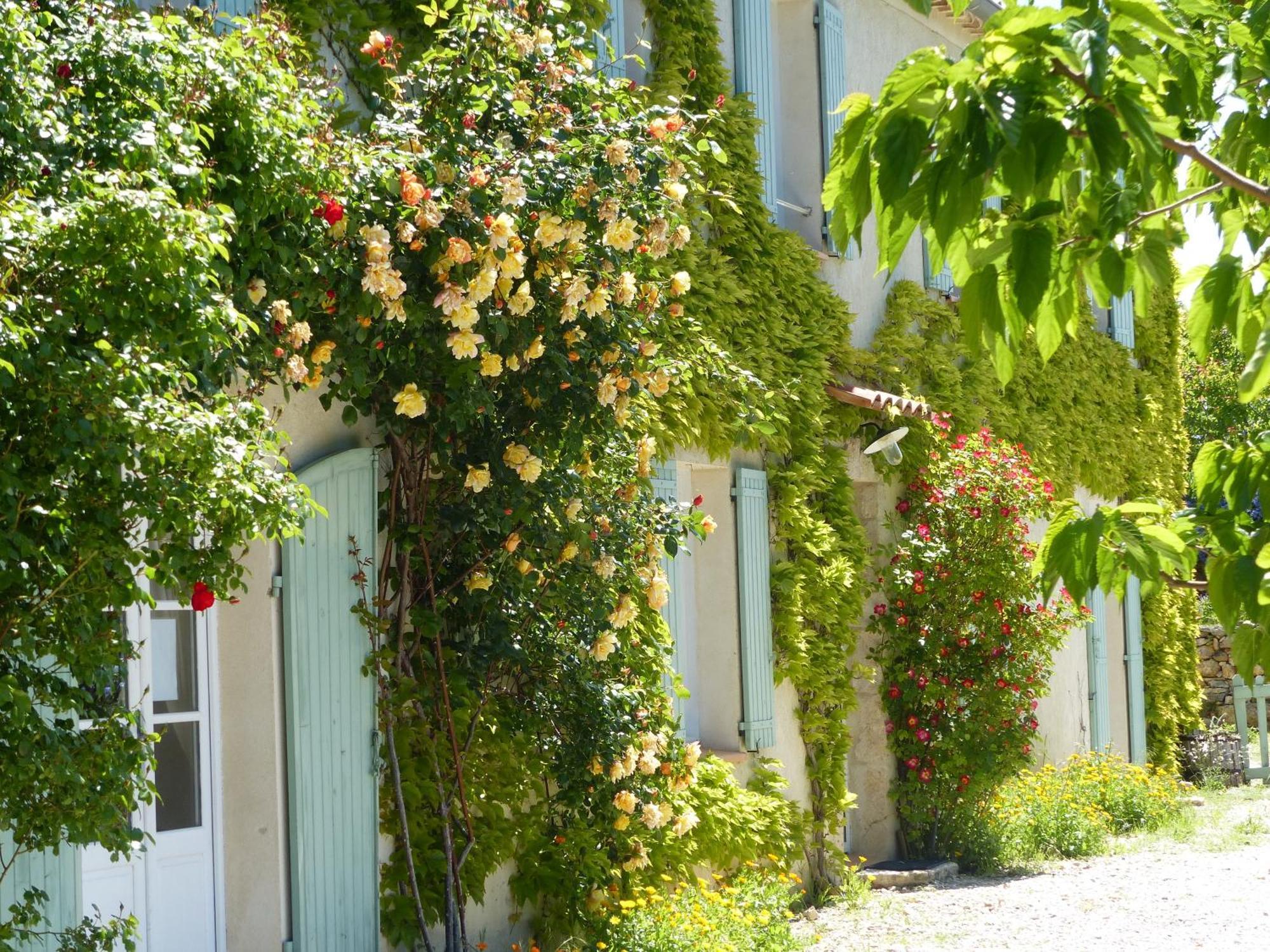 מוסטיה-סן-מארי La Ferme Du Petit Segries Bed And Breakfast חדר תמונה