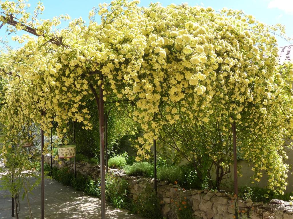 מוסטיה-סן-מארי La Ferme Du Petit Segries Bed And Breakfast מראה חיצוני תמונה