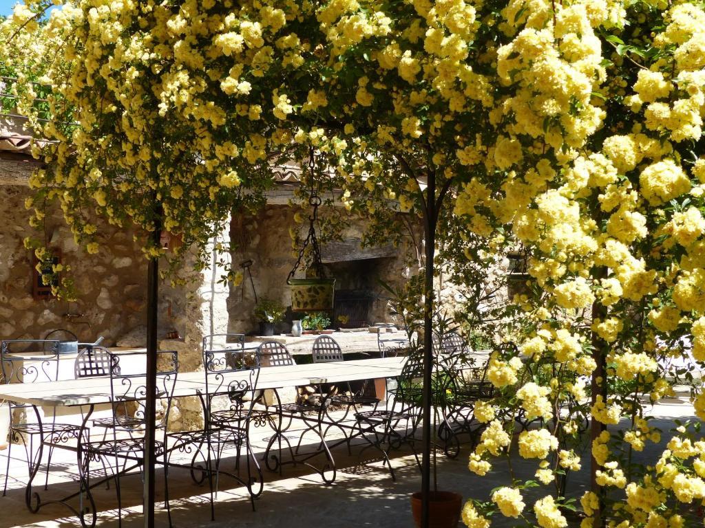 מוסטיה-סן-מארי La Ferme Du Petit Segries Bed And Breakfast מראה חיצוני תמונה