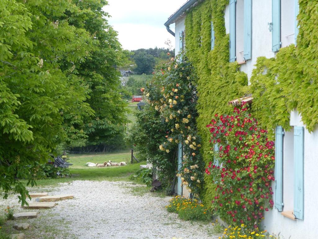 מוסטיה-סן-מארי La Ferme Du Petit Segries Bed And Breakfast מראה חיצוני תמונה